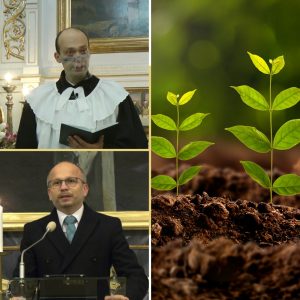 Služby Božie 15. 11. 2020 | Trvalo udržateľný rast viery