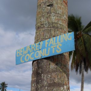 S3E4: SAMOA – Mierili na nás kokosmi