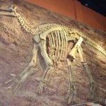 Pseudocast #398 – Nadľudská sila, veľký archeologický nález, osýpky episode thumbnail
