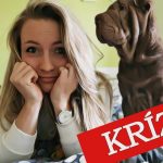episode thumbnail