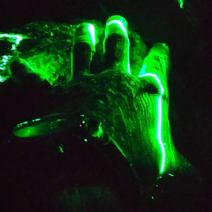 The Hand