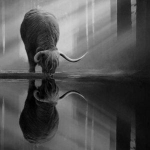 Mirrored..M☆joris°…DAW