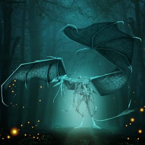 INESS do UCHA #28: Rozpočet na draka