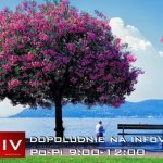 Dopoludnie na Infovojne s Adrianom 27.4.2023 episode thumbnail