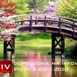 Dopoludnie na Infovojne s Adrianom 17.5.2023 episode thumbnail
