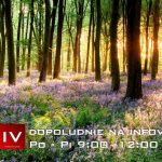 Dopoludnie na Infovojne s Adrianom 22.5.2023 episode thumbnail
