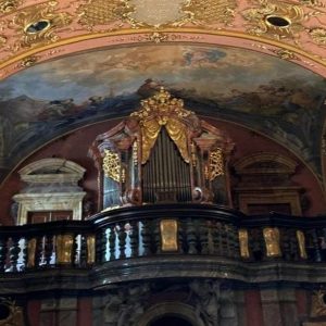 LikePreOrgan 23.07.2023 – Príbeh strateného organu