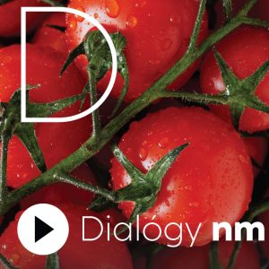 Bezpečnosť potravín v lete: Nechať ich v aute a ísť do iných obchodov nie je dobrý nápad