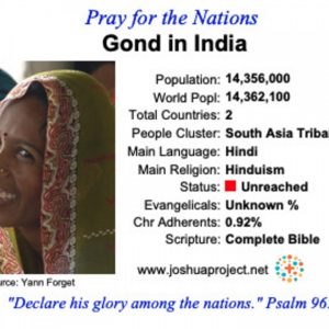 modlitby za NZES – Gond v Indii