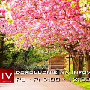 Dopoludnie na Infovojne s Adrianom 25.4.2024