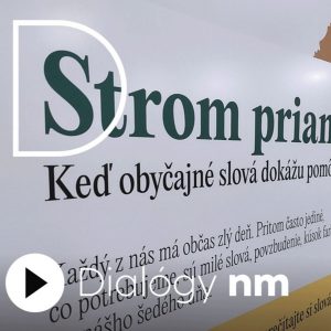 Stromy prianí ako prevencia duševných porúch. Ako sa im darí po mesiacoch od ich uvedenia?
