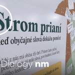 Stromy prianí ako prevencia duševných porúch. Ako sa im darí po mesiacoch od ich uvedenia? (podcast) episode thumbnail