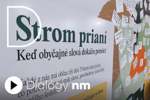 Stromy prianí ako prevencia duševných porúch. Ako sa im darí po mesiacoch od ich uvedenia? (podcast) Stromy prianí ako prevencia duševných porúch. Ako sa im darí po mesiacoch od ich uvedenia? (podcast)