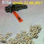 Rodná cesta 102 – 2017-06-21 Veci spoločenské… episode thumbnail