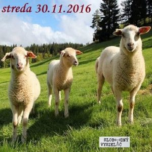 Farmári 06 – 2016-11-30 chov oviec na Slovensku
