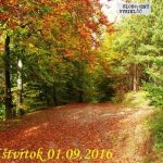 Motorové myši 83 – 2016-09-01 prípravy na jeseň… episode thumbnail
