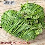 Motorové myši 78 – 2016-07-07 sezónne bylinky – zmysel, výskyt, účinok a recepty na spracovanie… episode thumbnail