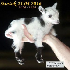 Motorové myši 69 – 2016-04-21 zvery – láska a starostlivosť