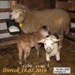 Motorové myši 60 – 2016-02-18 Hospodárov rok… episode thumbnail