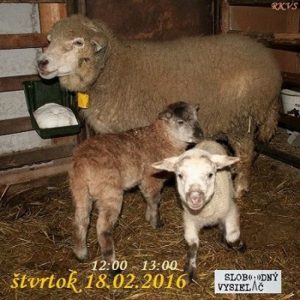 Motorové myši 60 – 2016-02-18 Hospodárov rok…