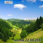 V prvej línii – 2017-08-22 Význam zelených lesov pre spoločnosť episode thumbnail