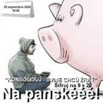 Na panské – 2024-09-29 humoristický týždenník 34/2024 episode thumbnail