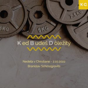 Keď Budeš Dôležitý – Branislav Schmogrovits