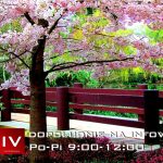 Dopoludnie na Infovojne s Adrianom 4.4.2025 episode thumbnail