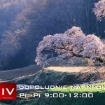 Dopoludnie na Infovojne s Adrianom 5.5.2025 episode thumbnail