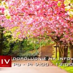 Dopoludnie na Infovojne s Adrianom 27.5.2025 episode thumbnail