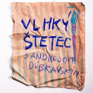 Klaudia Kosziba: Môj vrchol vo vzťahu k tvorbe a k maľbe bol v 12tich rokoch.