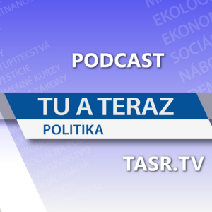 MICHELKO: Matovič nedovládol, za Fica predčasné voľby neboli nikdy