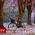 Dopoludnie na Infovojne s Adrianom 17.6.2025 episode thumbnail