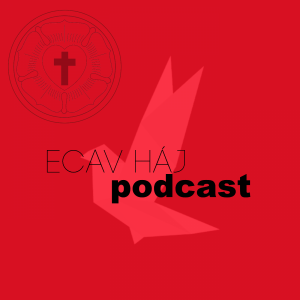 5. nedeľa po Svätej Trojici – zborový deň