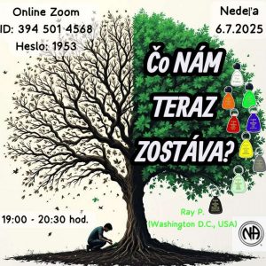 Čo nám teraz zostáva? – Ray P. (Washington, USA) – 6. 7. 2025