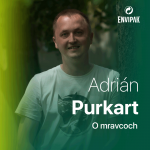Adrián Purkart: Mravce sú veľmi čistotné, v mravenisku majú aj odpadové komory episode thumbnail