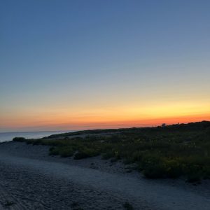 O tichých, „introvertných“ ľuďoch