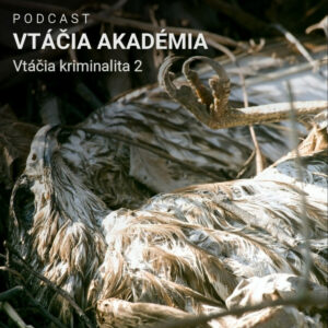 Vtáčia kriminalita 2
