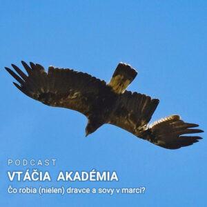 Čo je ťažšie? Kilo železa alebo kilo peria?