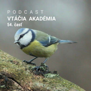 Zabudnite na pečivo!