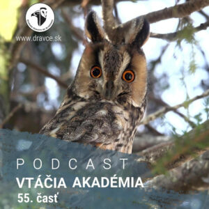 Šéfkuchárka z michelinskej reštaurácia chytá vo voľnom čase sovy. Aj tie „slovenské“.