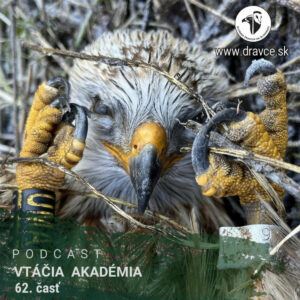 Dnes na vážnu tému – vtáčia kriminalita