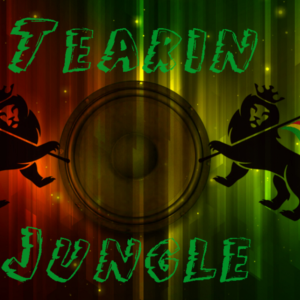 Jungle Drum Bass Sessions Pt 2 by Dj Hovis