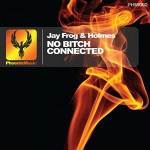 Jay Frog & Holmes – No Bitch Connected (RobinIO Remix) (Snippet)