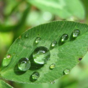 11 Sehnsucht in die Weite