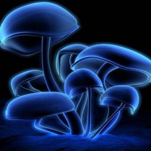 Ils Ont Des Chapeaux Ronds (MIX 2011)