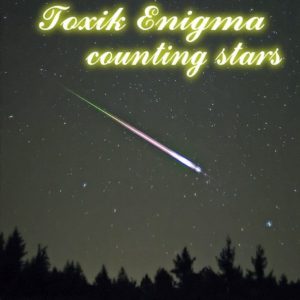 Counting Stars Remix
