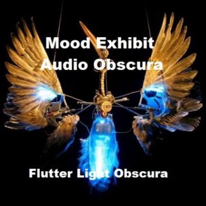 Mood Exhibit & Audio obscura – Flutters Light Obscura