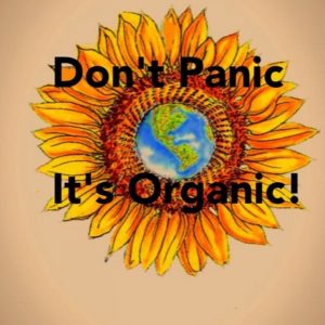 The Basics on Invisible Gardener Services