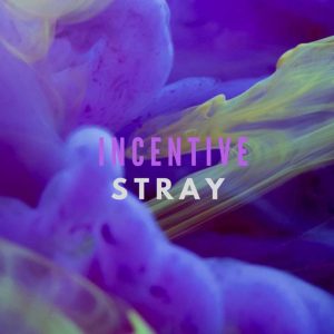 Incentive – Stray